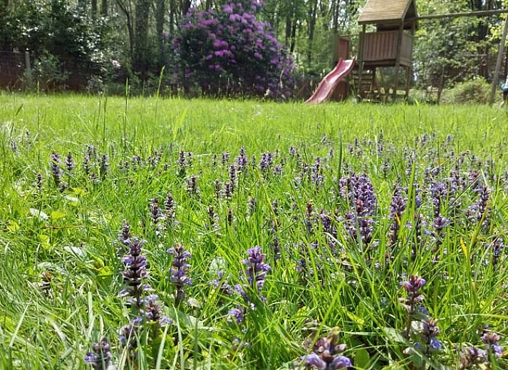 Gemuetlicher Innenbereich des Ferienhauses in Herselt, Antwerpen, Belgien, mit Holzwaenden und einem Brettspiel auf dem Tisch.