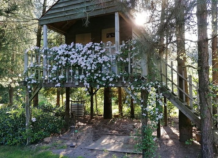 Unterkunft 043205 - Ferienhaus Antwerpen - Vakantiehuisje in Oud-Turnhout