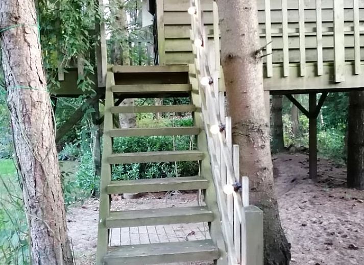 Unterkunft 043205 - Ferienhaus Antwerpen - Vakantiehuisje in Oud-Turnhout