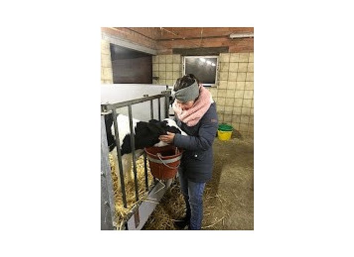Kind und Oma spielen mit Baukloetzen im gemuetlichen Wohnzimmer des Ferienhofs Hannekentas in Essen, Antwerpen.