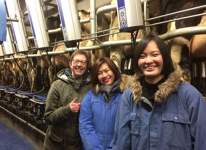 Schlafzimmer mit Holzbalken in Vakantiehoeve Hannekentas, einem charmanten Ferienhaus in Essen, Belgien.
