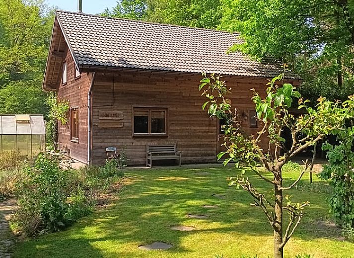 Entspannen Sie sich auf der gemuetlichen Terrasse des Holiday Home in Wuustwezel, eines idyllischen Ferienhauses in Antwerpen, Belgien.