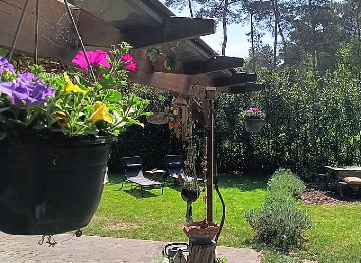 Entspannen Sie sich auf der gemuetlichen Terrasse des Holiday Home in Wuustwezel, eines idyllischen Ferienhauses in Antwerpen, Belgien.