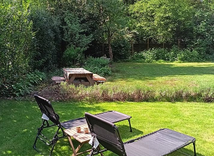 Gemuetliches Wohnzimmer des Ferienhauses in Wuustwezel mit Holzinterieur, ideal fuer einen entspannten Aufenthalt in Antwerpen, Belgien.