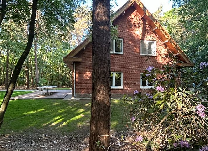 Cottage in Wuustwezel, cottage in Antwerp with spacious garden and terrace, surrounded by serene nature.