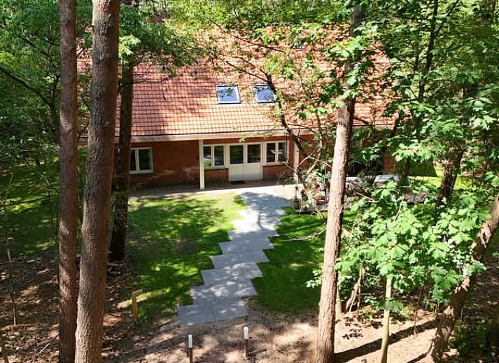 Cottage in Wuustwezel, cottage in Antwerp with spacious garden and terrace, surrounded by serene nature.