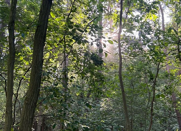 Cottage in Wuustwezel, cottage in Antwerp with spacious garden and terrace, surrounded by serene nature.