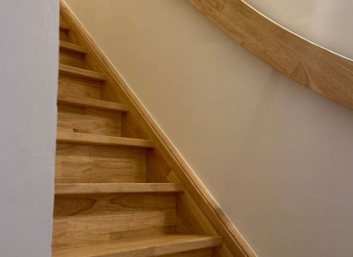 Cottage in Wuustwezel, charming cottage in Antwerp with access to a beautiful forest path and nature.