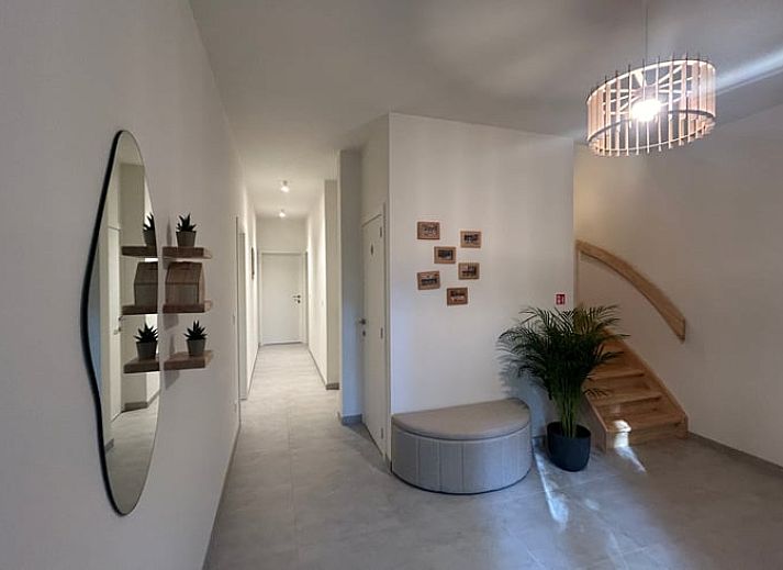 Lush nature surrounding Cottage in Wuustwezel, a vacation home in the heart of Antwerp, Belgium.