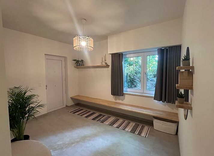 Lush nature surrounding Cottage in Wuustwezel, a vacation home in the heart of Antwerp, Belgium.