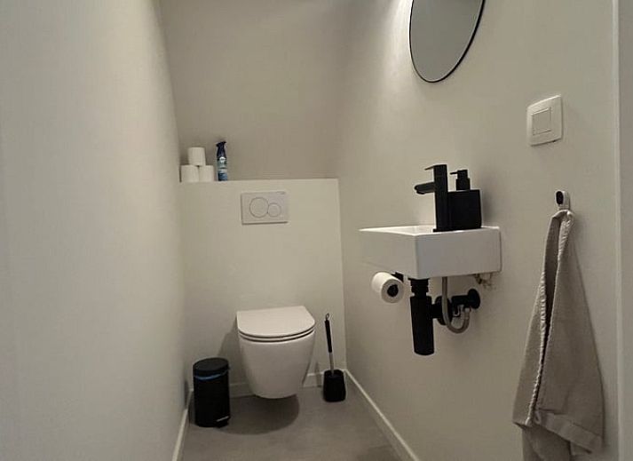 Lush nature surrounding Cottage in Wuustwezel, a vacation home in the heart of Antwerp, Belgium.