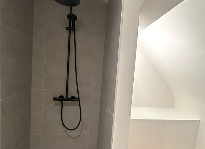 Lush nature surrounding Cottage in Wuustwezel, a vacation home in the heart of Antwerp, Belgium.