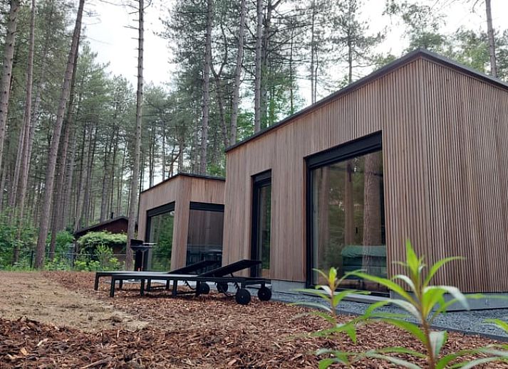 Guest house 044210 - Holiday property Antwerp - Vakantiehuis in Lille