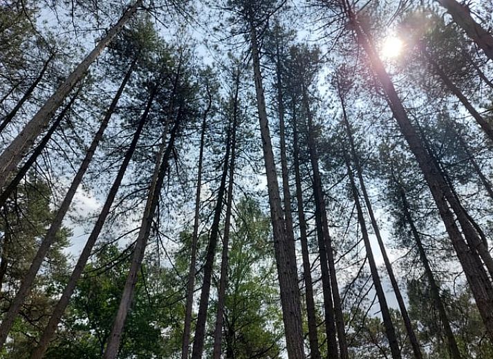 Guest house 044210 - Holiday property Antwerp - Vakantiehuis in Lille