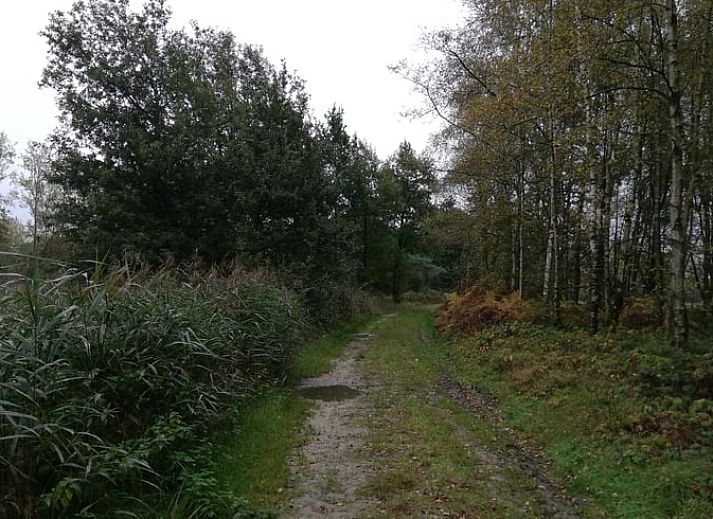 Guest house 044210 - Holiday property Antwerp - Vakantiehuis in Lille