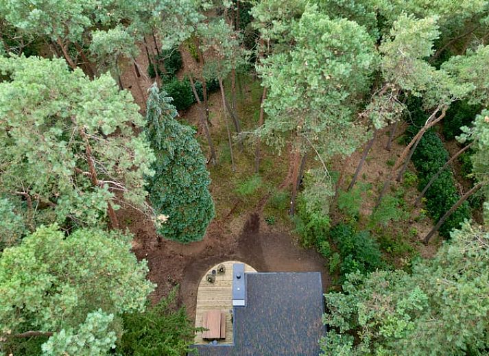 Guest house 044211 - Holiday property Antwerp - Vakantiehuisje in Lille