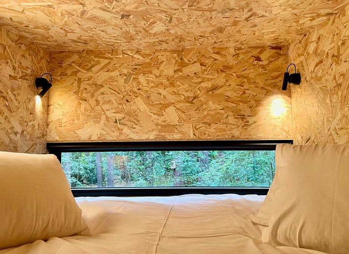 Guest house 044211 - Holiday property Antwerp - Vakantiehuisje in Lille