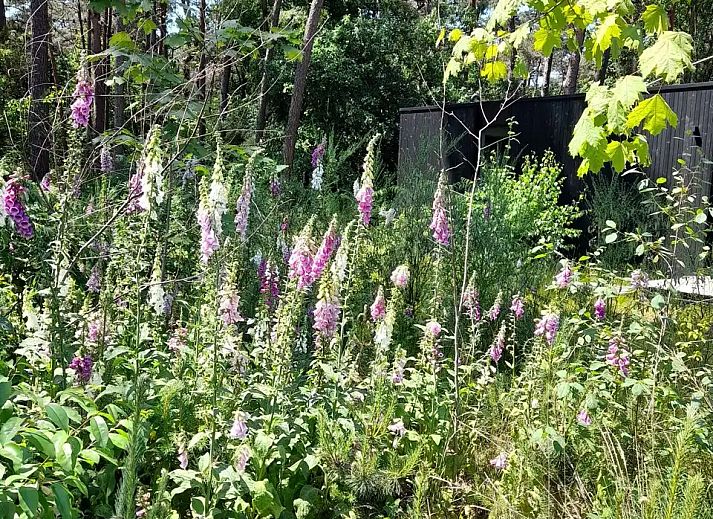 Unterkunft 044212 - Ferienhaus Antwerpen - Black Box