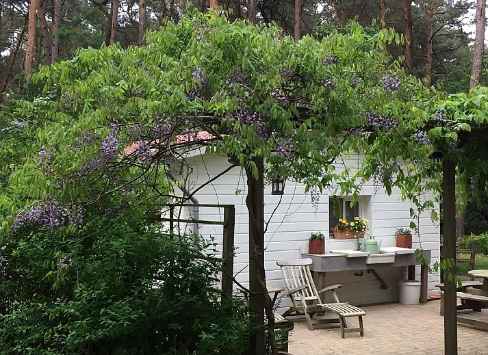 Guest house 044215 - Bungalow Antwerp - Het Beerenbos