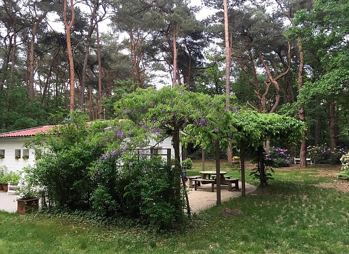 Guest house 044215 - Bungalow Antwerp - Het Beerenbos