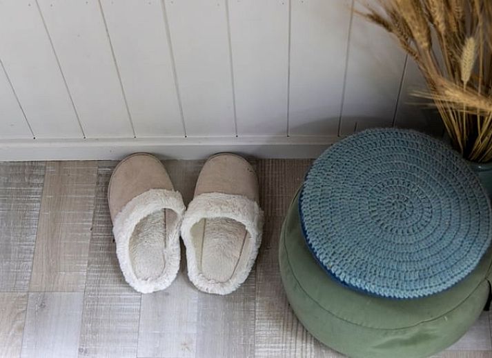 Guest house 046503 - Holiday property Antwerp - Vakantiehuis in Oelegem