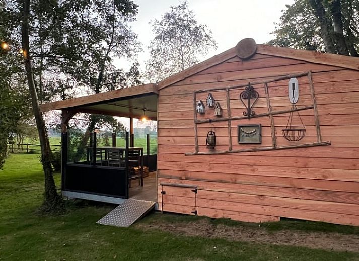 Rustikaler Garten im Ferienhaus in Beerse, Antwerpen, mit Enten und Gruenanlagen.