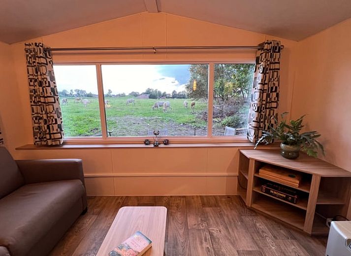 Entspannen Sie sich im Jacuzzi unter dem Sternenhimmel im Ferienhaus in Beerse, Antwerpen.