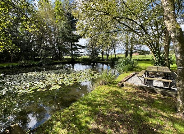 Schaukelbank im Naturgarten des Ferienhauses in Beerse, Antwerpen.