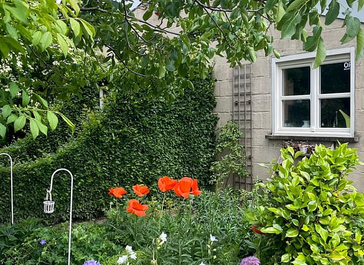 Unterkunft 046905 - Ferienhaus Antwerpen - Huisje in Rijkevorsel