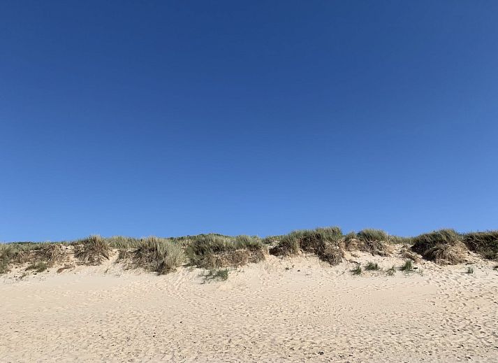 Guest house 047504 - Apartment Antwerp - Appartement Seaview Penthouse