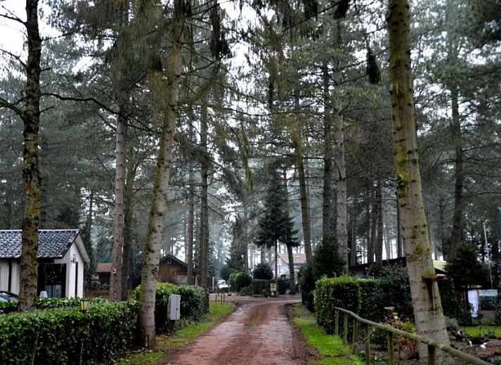 Geniessen Sie die Veranda des Chalet Sigal in Poppel, Antwerpen, Belgien. Entspannen Sie sich in der Natur und erleben Sie Komfort und Privatsphaere.