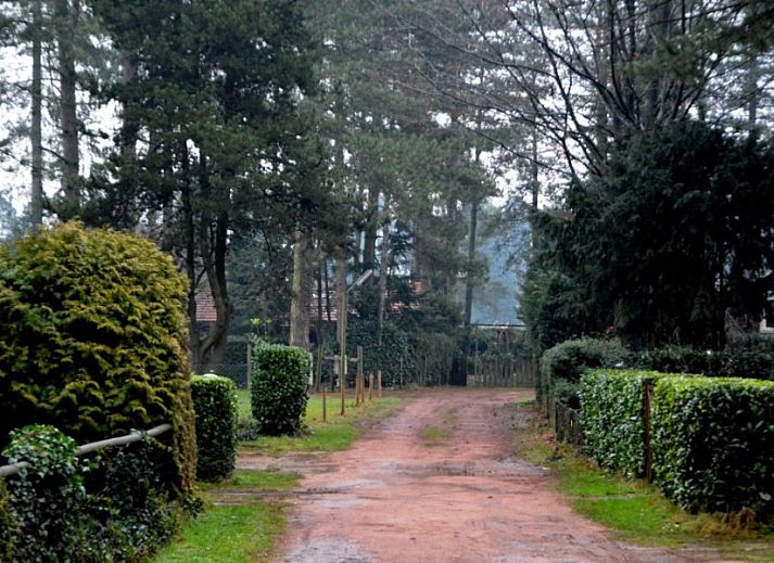 Geniessen Sie die Veranda des Chalet Sigal in Poppel, Antwerpen, Belgien. Entspannen Sie sich in der Natur und erleben Sie Komfort und Privatsphaere.