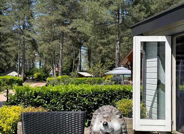 Von Baeumen umgebener Zugangsweg zum Chalet Sigal in Poppel, Antwerpen. Erleben Sie die Stille und die natuerliche Umgebung.