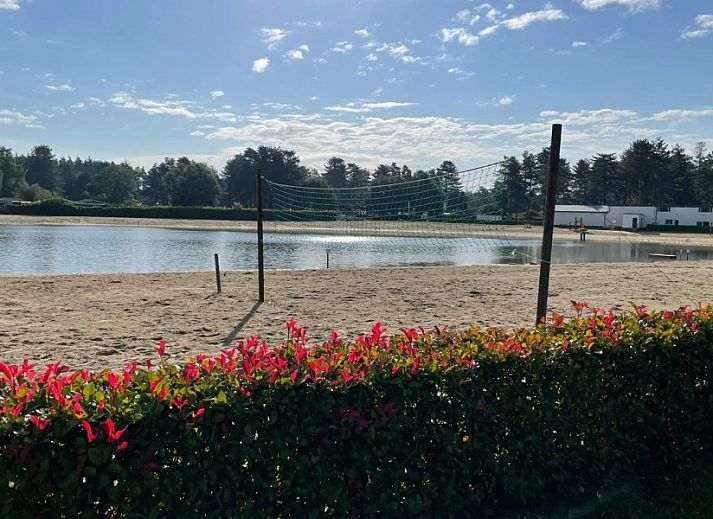 Von Baeumen umgebener Zugangsweg zum Chalet Sigal in Poppel, Antwerpen. Erleben Sie die Stille und die natuerliche Umgebung.
