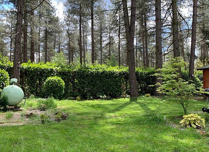Von Baeumen umgebener Zugangsweg zum Chalet Sigal in Poppel, Antwerpen. Erleben Sie die Stille und die natuerliche Umgebung.