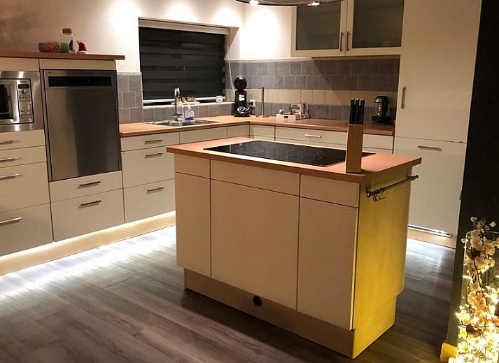 Von Baeumen umgebener Zugangsweg zum Chalet Sigal in Poppel, Antwerpen. Erleben Sie die Stille und die natuerliche Umgebung.