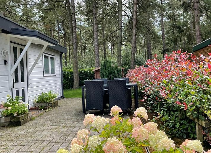 Rustikaler Weg mitten im Gruenen im Chalet Sigal in Poppel, Antwerpen. Ideal fuer Naturliebhaber.