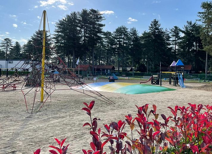 Rustikaler Weg mitten im Gruenen im Chalet Sigal in Poppel, Antwerpen. Ideal fuer Naturliebhaber.