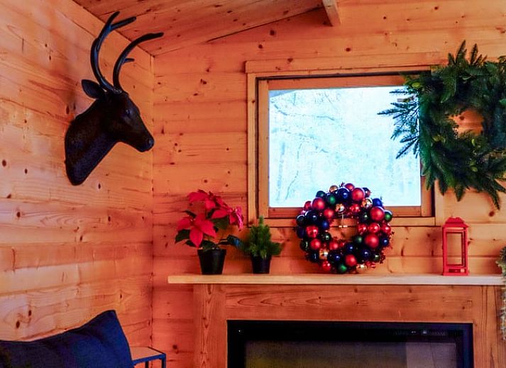 Guest house 048007 - Holiday property Antwerp - Huisje in Wechelderzande