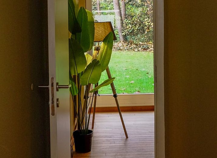 Guest house 048007 - Holiday property Antwerp - Huisje in Wechelderzande