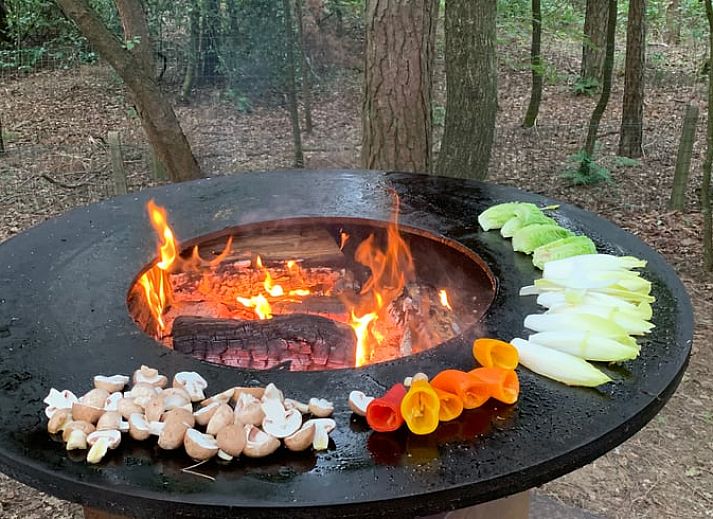 Guest house 048007 - Holiday property Antwerp - Huisje in Wechelderzande