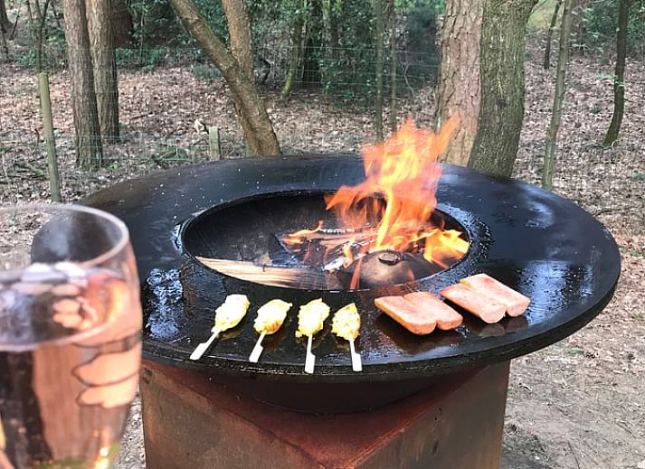 Guest house 048007 - Holiday property Antwerp - Huisje in Wechelderzande