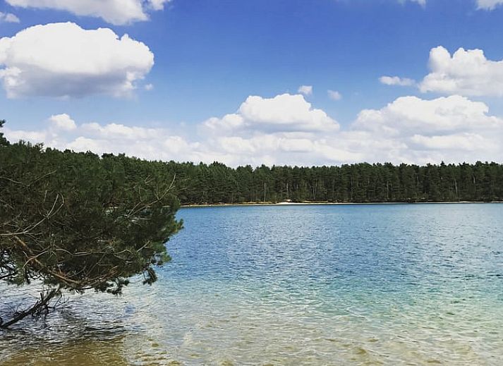 Guest house 048007 - Holiday property Antwerp - Huisje in Wechelderzande