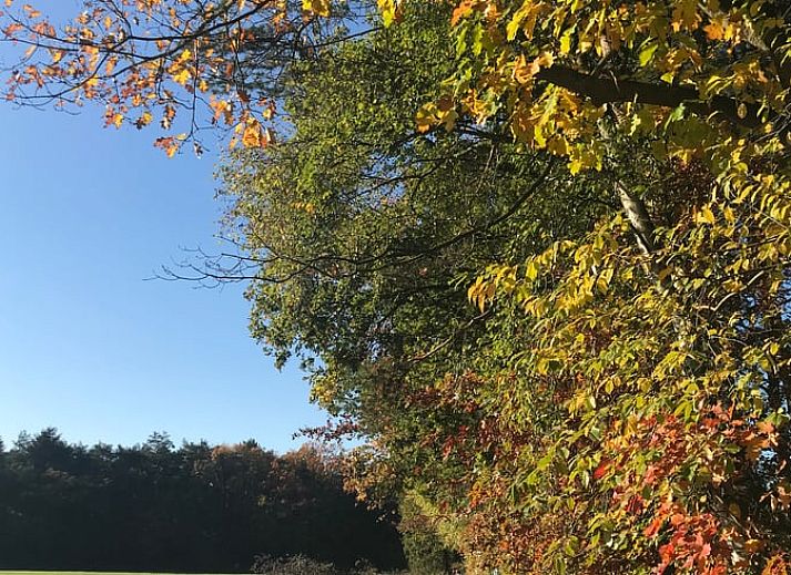 Guest house 048007 - Holiday property Antwerp - Huisje in Wechelderzande