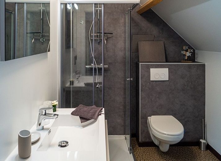 Guest house 048605 - Holiday property Antwerp - Wilde Wingerd