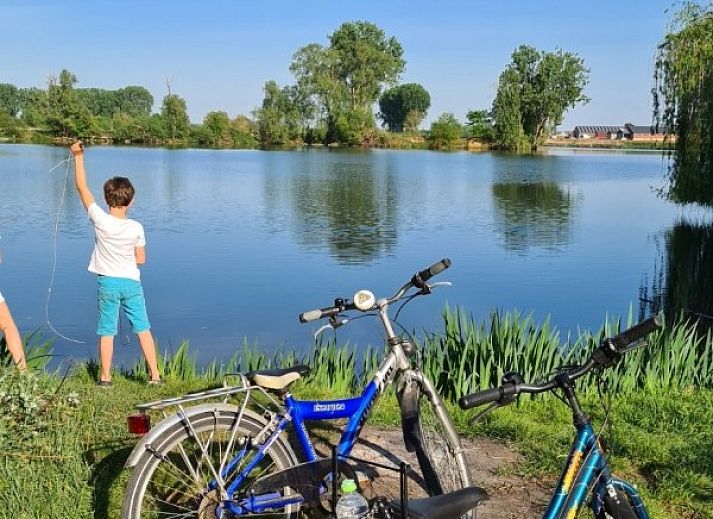 Enjoy the sunny patio at vacation home Tivoli in Dilsen-Stokkem, Limburg, Belgium, with comfortable outdoor seating and natural surroundings.