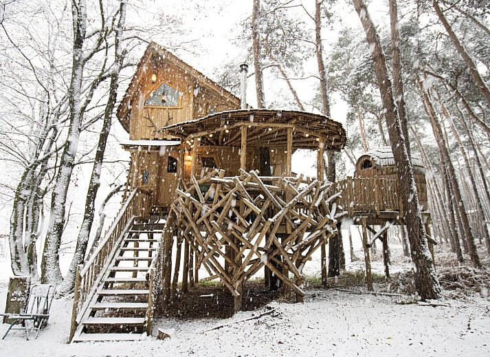 Verblijf 050715 - Vakantiewoning Limburg - Tree House