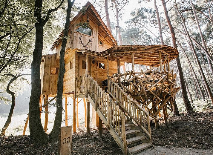 Verblijf 050715 - Vakantiewoning Limburg - Tree House