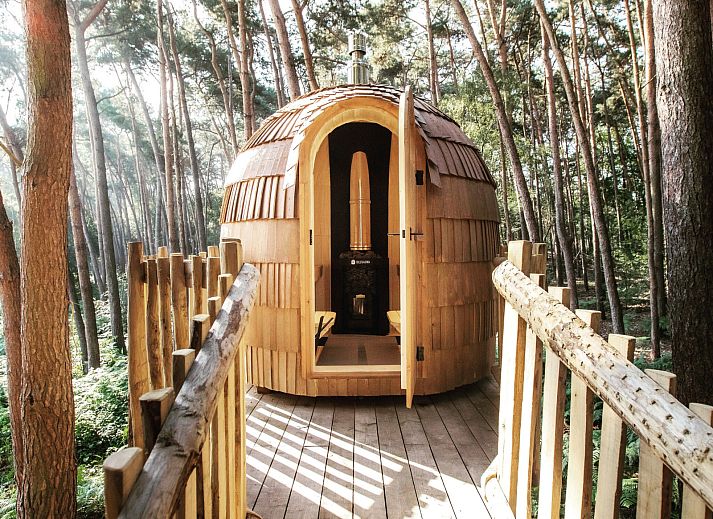 Verblijf 050715 - Vakantiewoning Limburg - Tree House