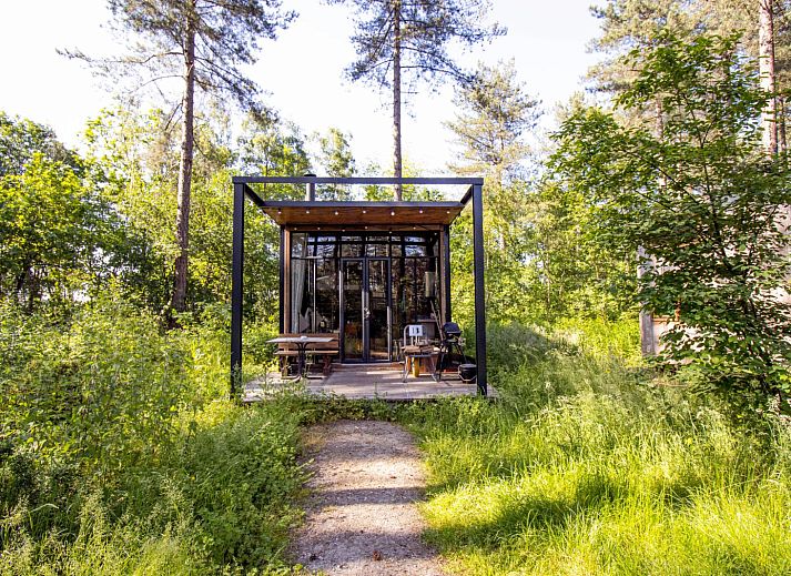 Sweet Cabin vakantiehuis genesteld in het groene bos van Maaseik, Limburg, Belgie, omgeven door weelderige natuur en rust.